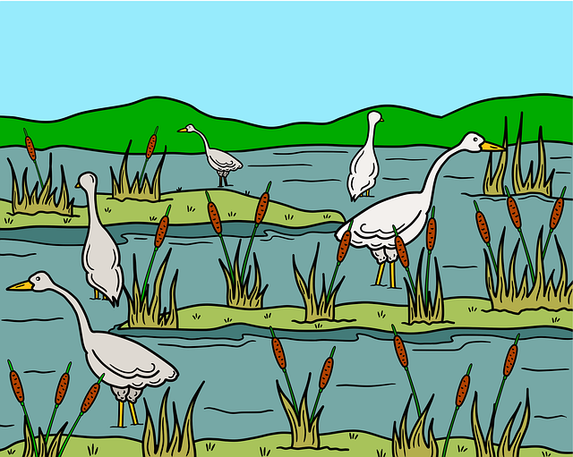 Экосистемы DeFi: что это и как они функционируют